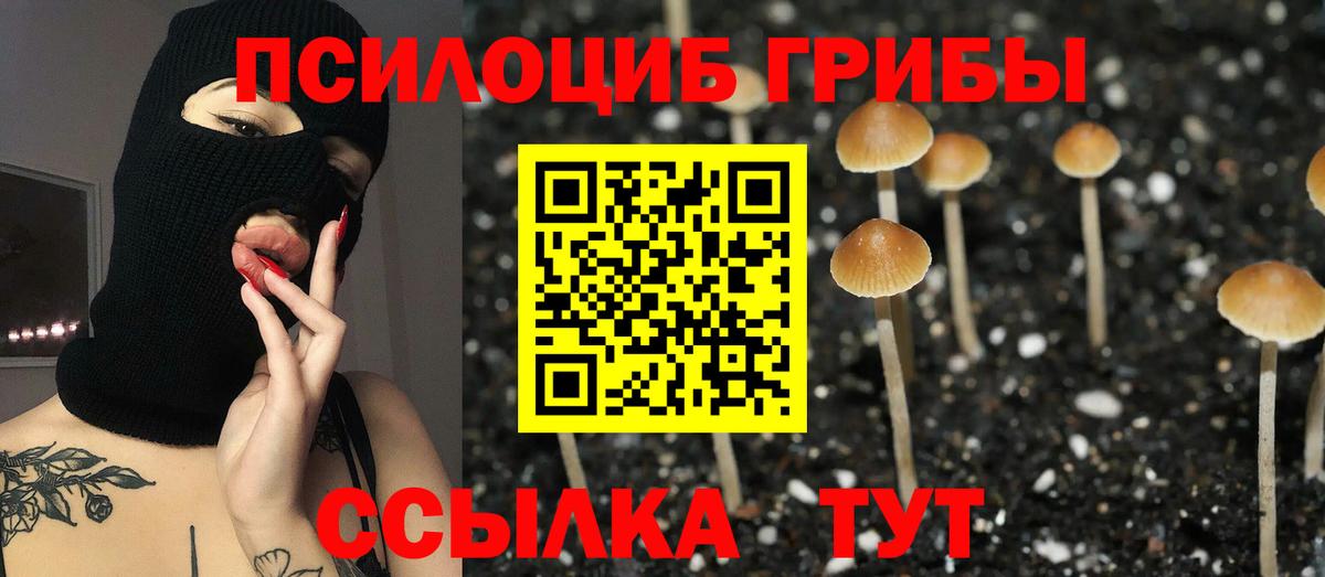 Псилоцибиновые грибы GOLDEN TEACHER  Вход с VPN  Когалым 